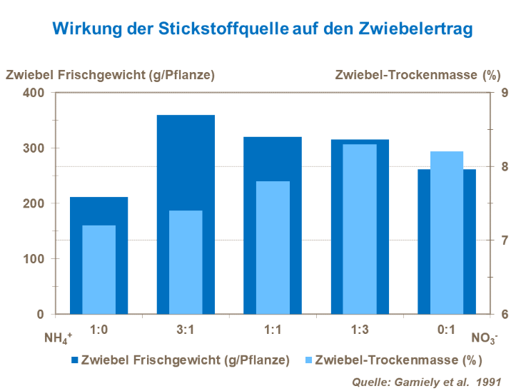 Die Wirkung der Stickstoffquelle auf den Zwiebelertrag