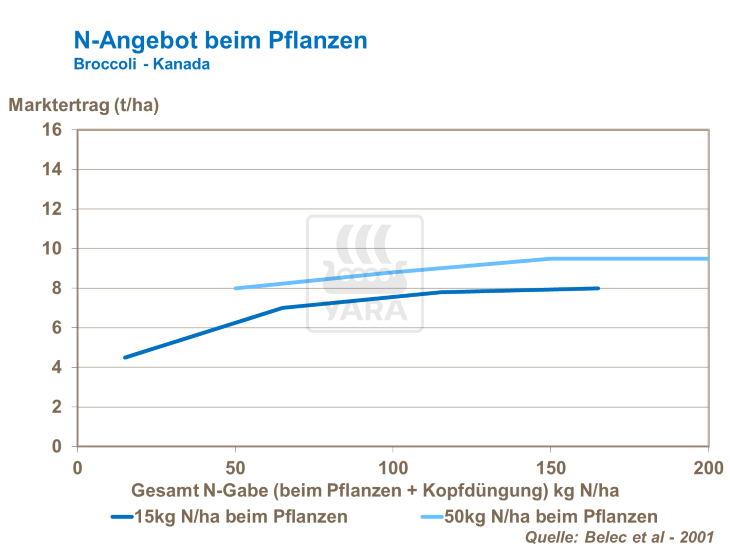 N-Angebot beim Pflanzen