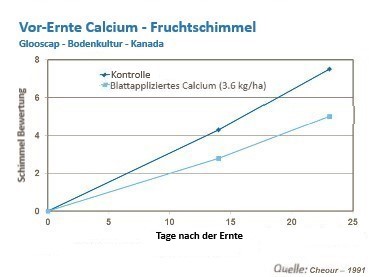 Erbeer-Gesundheit verbessern_4.jpg