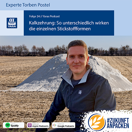 Folge 24: Kalkzehrung