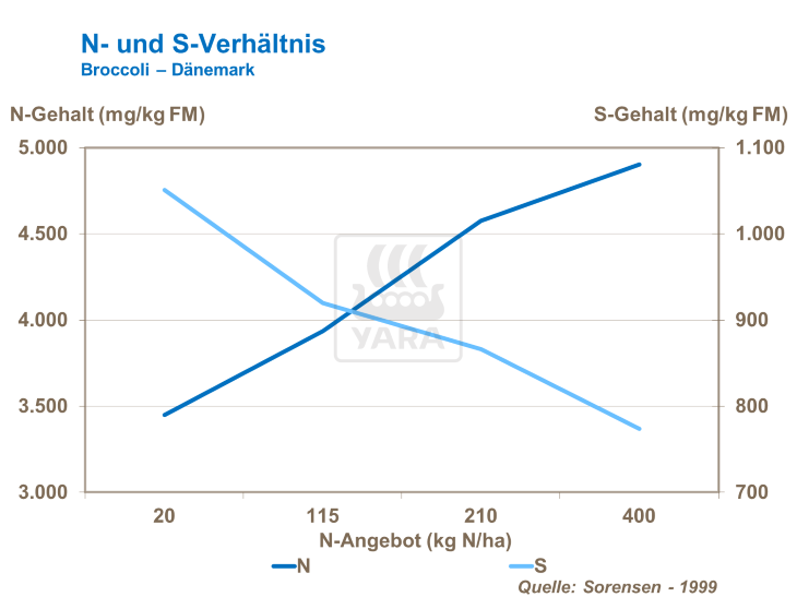 N- und S-Verhältnis
