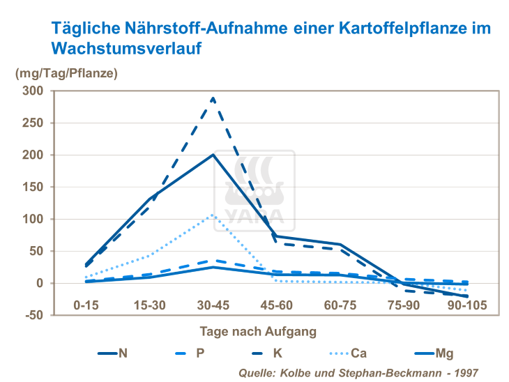 Tägliche Nährstoff-Aufnahme einer Kartoffelpflanze im Wachstumsverlauf.png