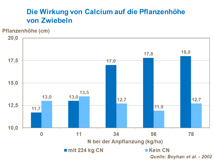 Die Wirkung von Calcium auf die Pflanzenh&ouml;he von Zwiebeln