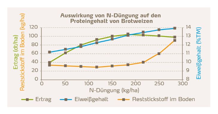 Auswirkungen der N-Düngung auf den Proteingehalt von Brotweizen.jpg