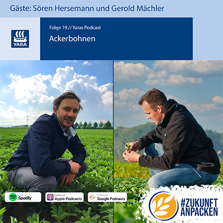 Podcast Ackerbohnen