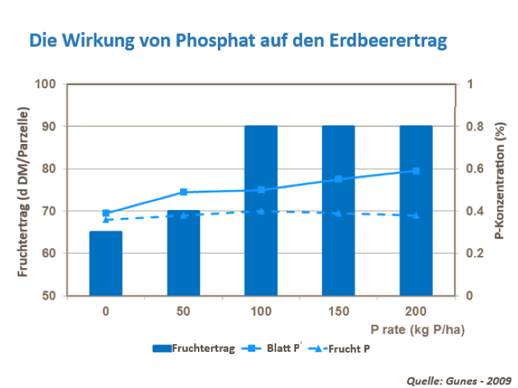Erdbeerertrag erh&ouml;hen.png