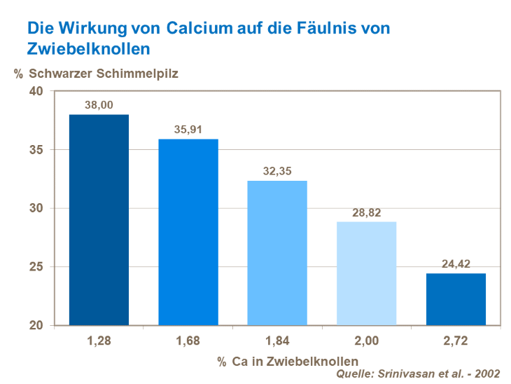 Die Wirkung von Calcium auf die F&auml;ulnis von Zwiebelknollen