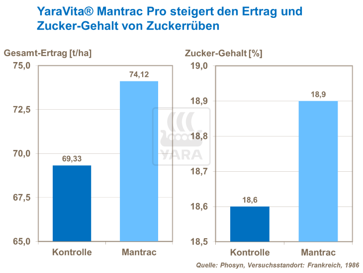 YaraVita Mantrac Pro steigert den Ertrag und Zucker-Gehalt 
