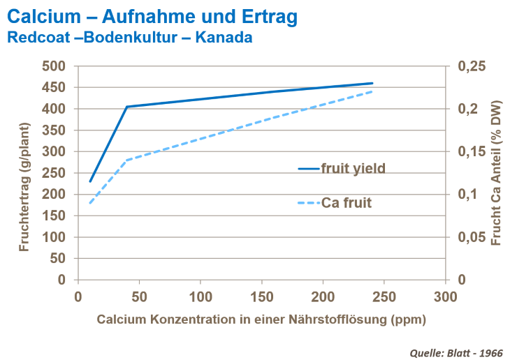 Erdbeer-Gesundheit verbessern 3.png