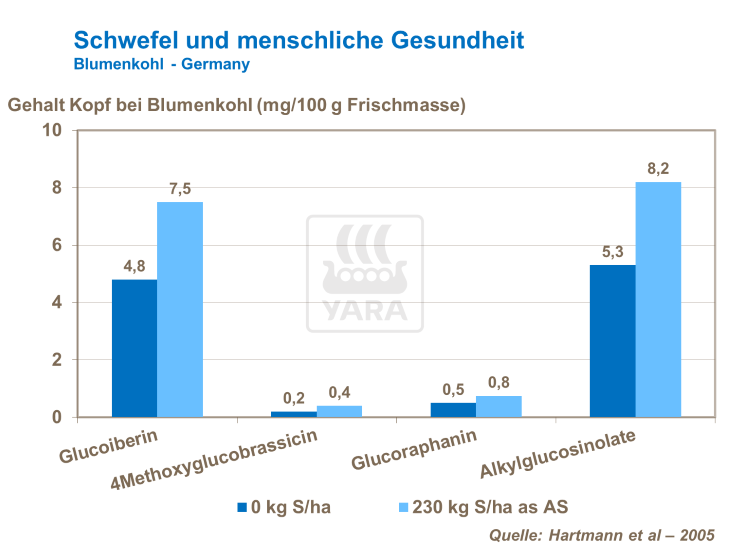 Schwefel und menschliche Gesundheit