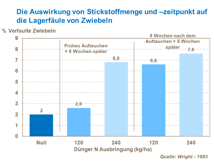 Die Auswirkung von der Stickstoffmenge und dem -zeitpunkt auf die Lagerf&auml;ule von Zwiebeln