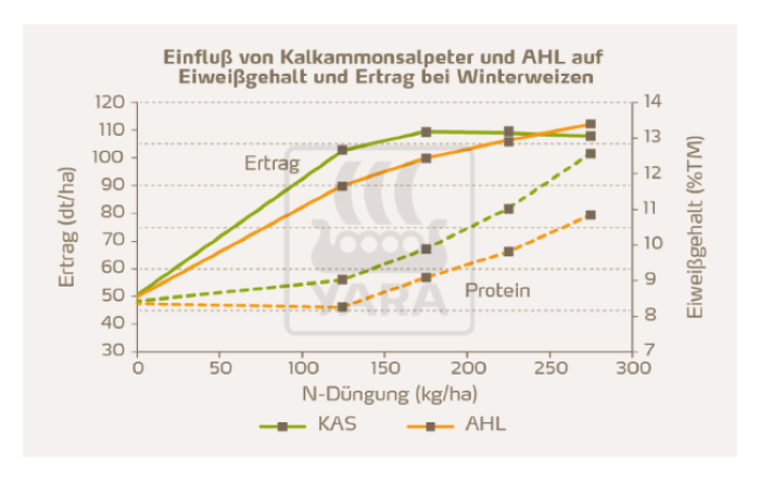 Einfluß von Kalkammonalpeter und AHL auf Eiweißgehalt und Ertrag bei Winterweizen