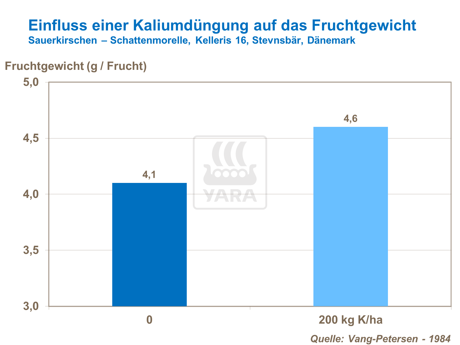 Einfluss der Kaliumdüngung auf das Fruchtgewicht bei Sauerkirschen