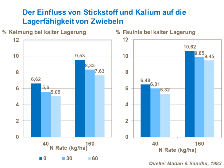 Der Einfluss von Stickstoff und Kalium auf die Lagerf&auml;higkeit von Zwiebeln