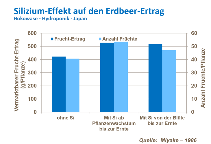 Erdbeer-Ertrag erh&ouml;hen 2.png