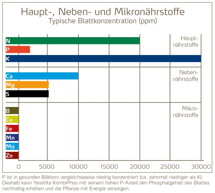 Haupt-, Neben- und Mikronährstoffe.jpg
