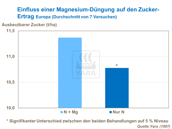 Einfluss einer Magnesium-Düngung auf den Zucker-Ertrag
