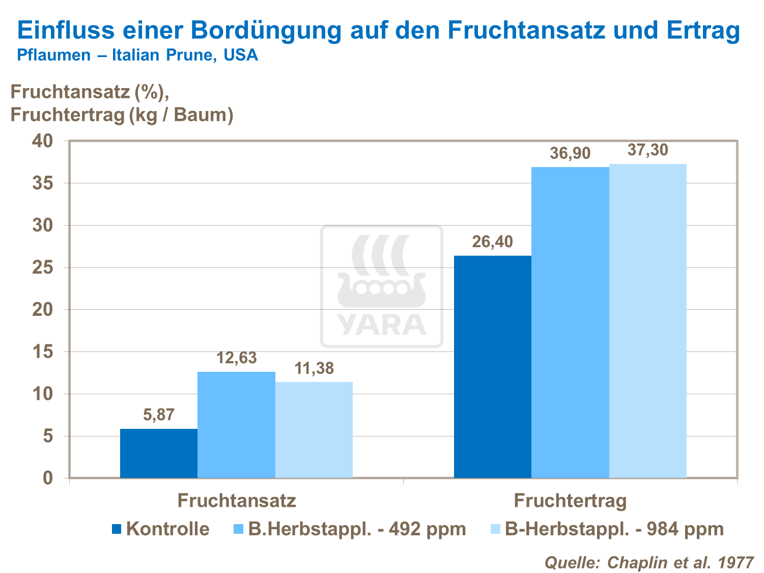 Einfluss einer Bordüngung auf den Fruchtansatz und Ertrag bei Pflaumen