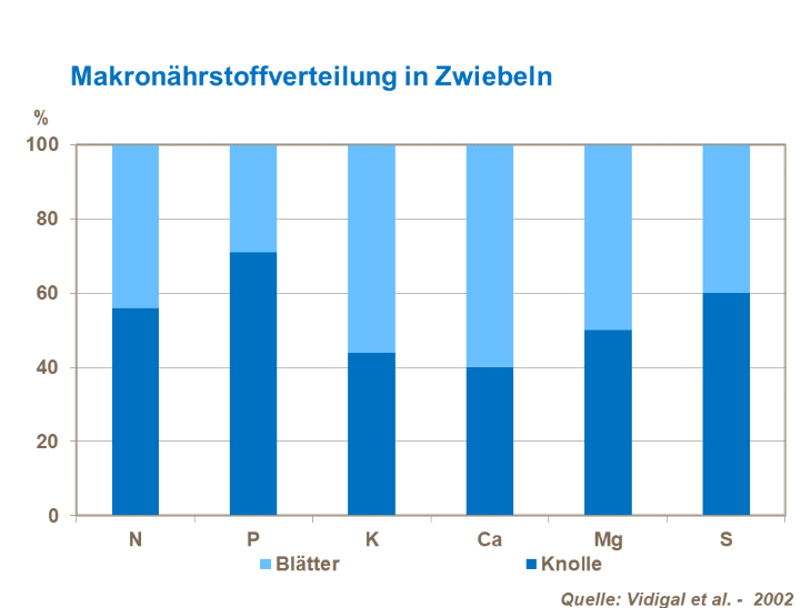 Die Makron&auml;hrstoffverteilung in Zwiebeln
