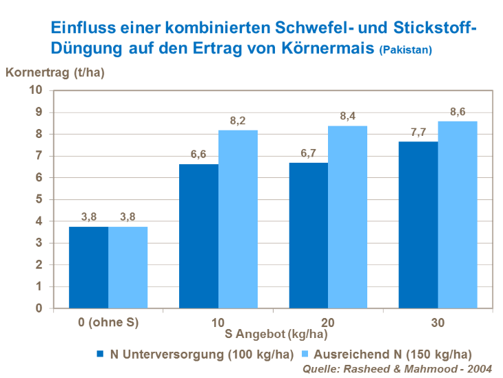 Einfluss einer kombinierten Schwefel- und Stickstoff-Düngung auf den Ertrag von Körnermais