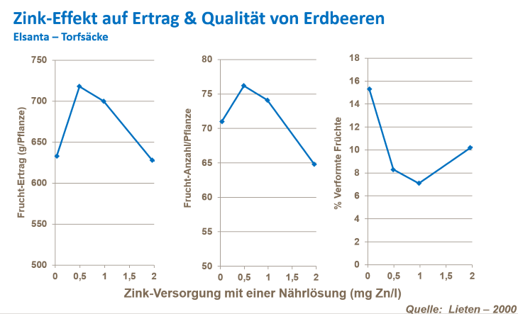 Fruchtzahl bei Erdbeeren 6.png