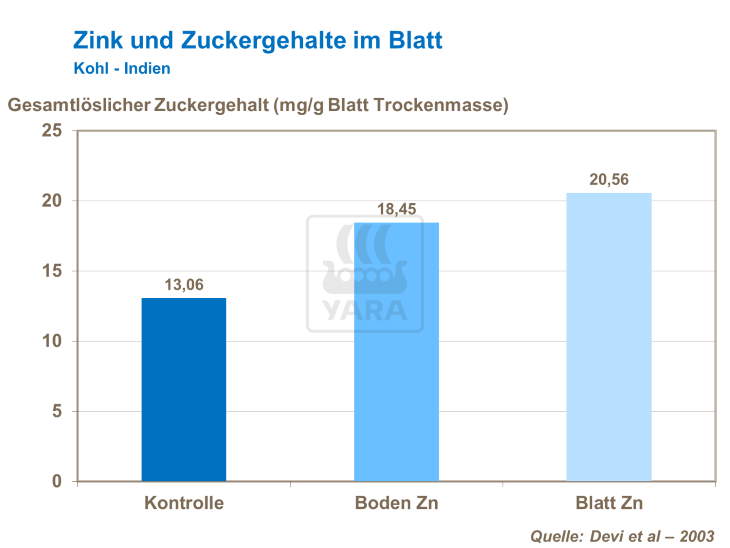 Zink und Zuckergehalte im Blatt