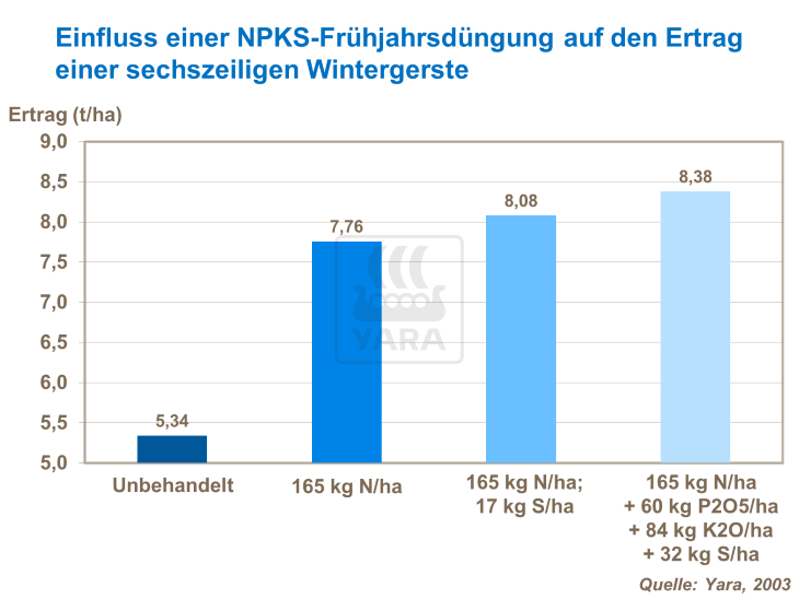 Einfluss einer NPKS-Fr&uuml;hjahrsd&uuml;ngung auf den Ertrag einer sechszeiligen Wintergerste